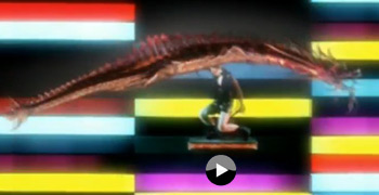 The Cramberries - This is the day - clip